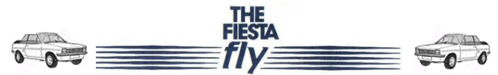 fiesatfly.org